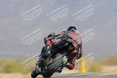 media/Apr-08-2023-SoCal Trackdays (Sat) [[63c9e46bba]]/Turn 9 Backside (1030am)/